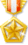 每日之星冠军
